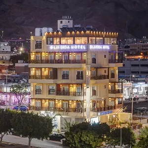 احجز هنا